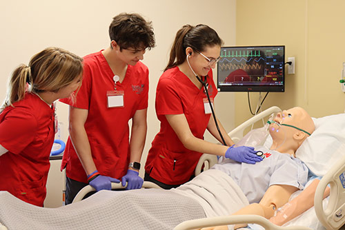 Two female medical professionals working on a problem together